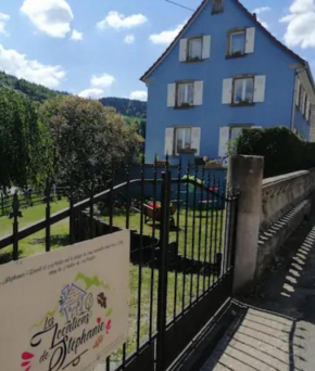 Les Locations de Stéphanie ,gîte L'Arbre Vert Sondernach